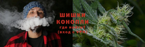 ECSTASY Костерёво