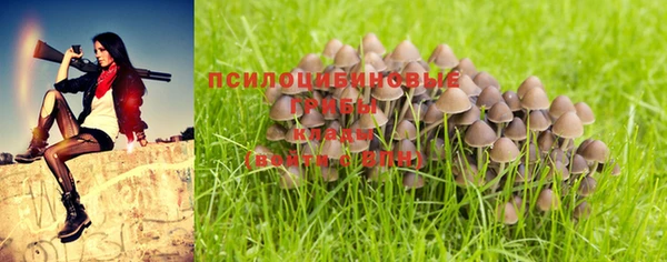 эйфоретик Корсаков