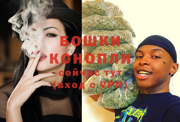 ECSTASY Костерёво