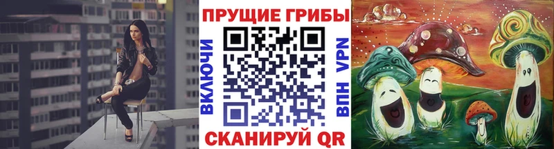 где найти   shop как зайти  Галлюциногенные грибы Cubensis  Сибай  ссылка на мегу  