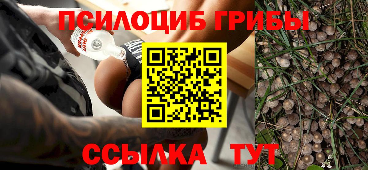 Псилоцибиновые грибы прущие грибы Сибай