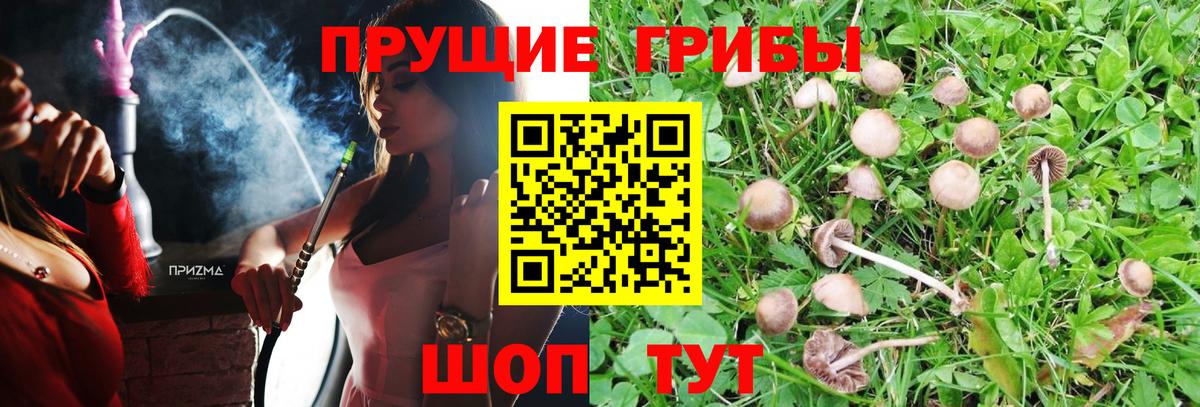 Галлюциногенные грибы ЛСД  как найти закладки  Псилоцибиновые грибы ЛСД  Сибай  Вход с VPN 